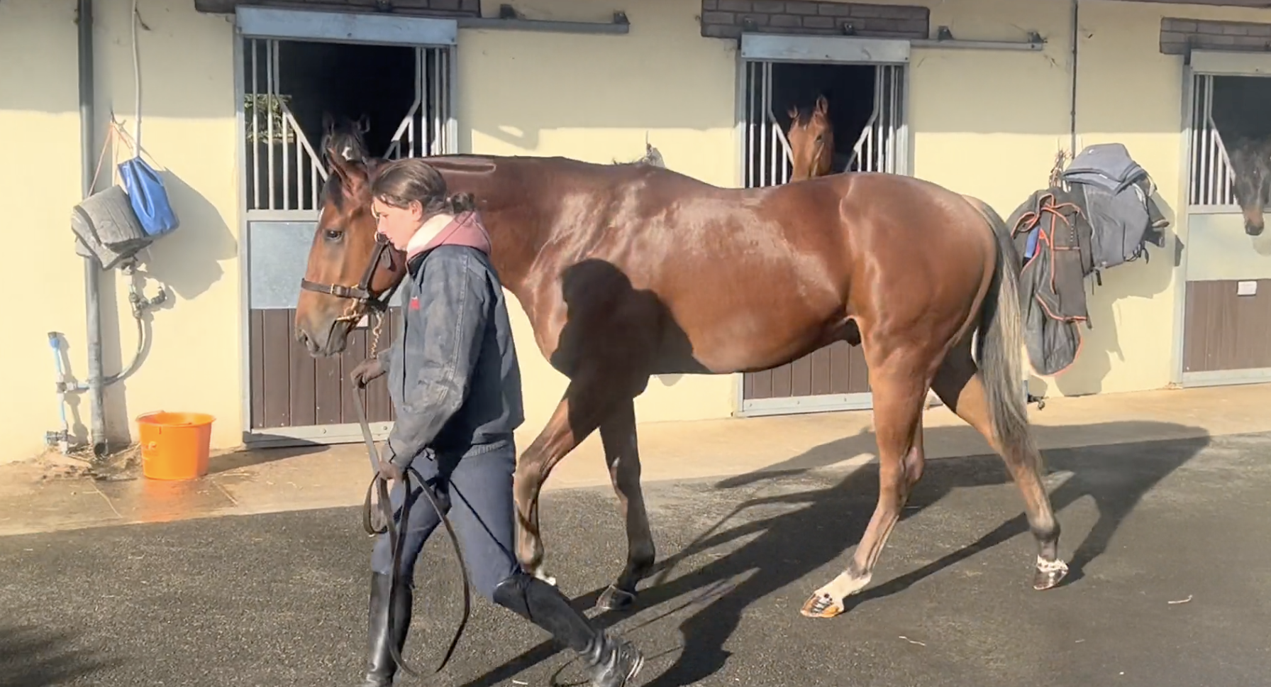 The stravinsky Syndicate - ridden away