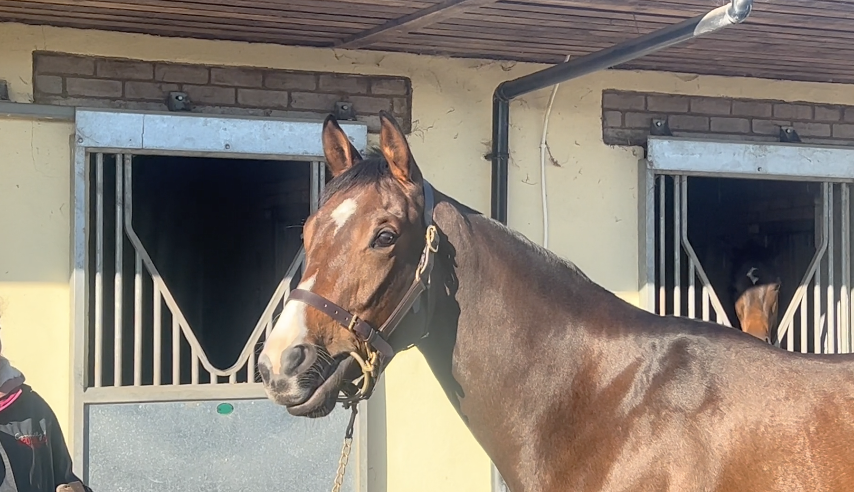 Debussy syndicate - ridden away 