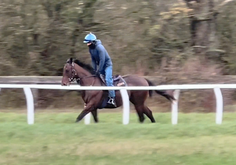 The Chopin Syndicate - ridden away