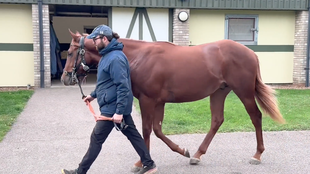 The Mendelssohn Syndicate - Ridden Away