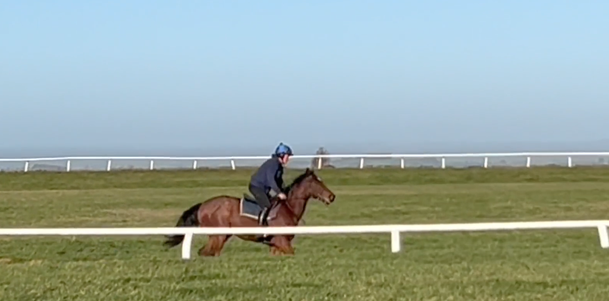 The Beethoven Syndicate - Ridden Away