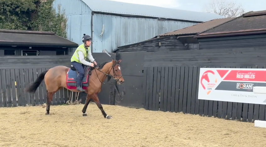 Schooling 16.12.25