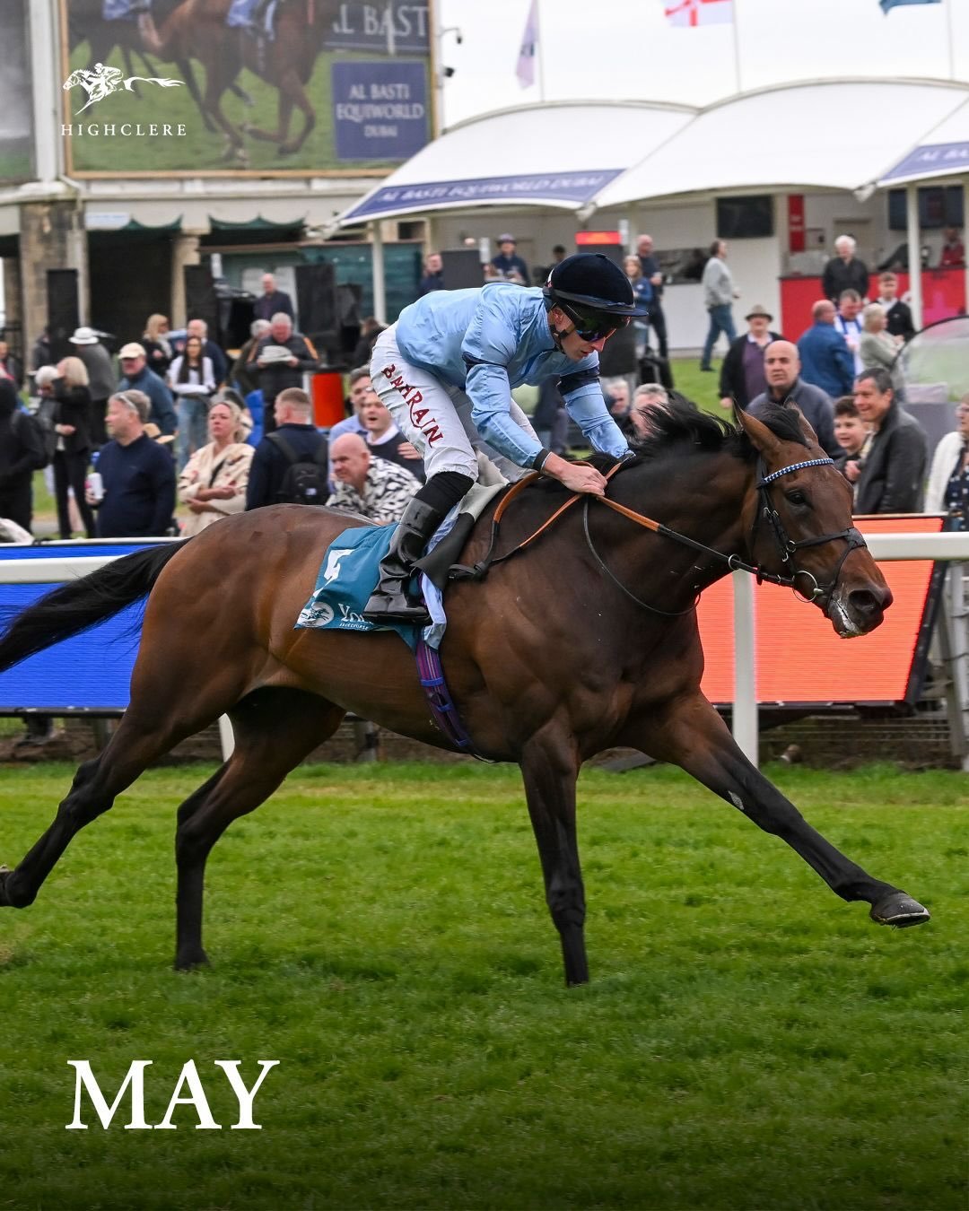 Highclere Thoroughbred Racing