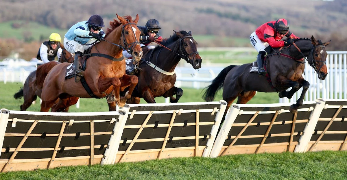 Highclere owner experience: Carlenrig Cheltenham Cheer