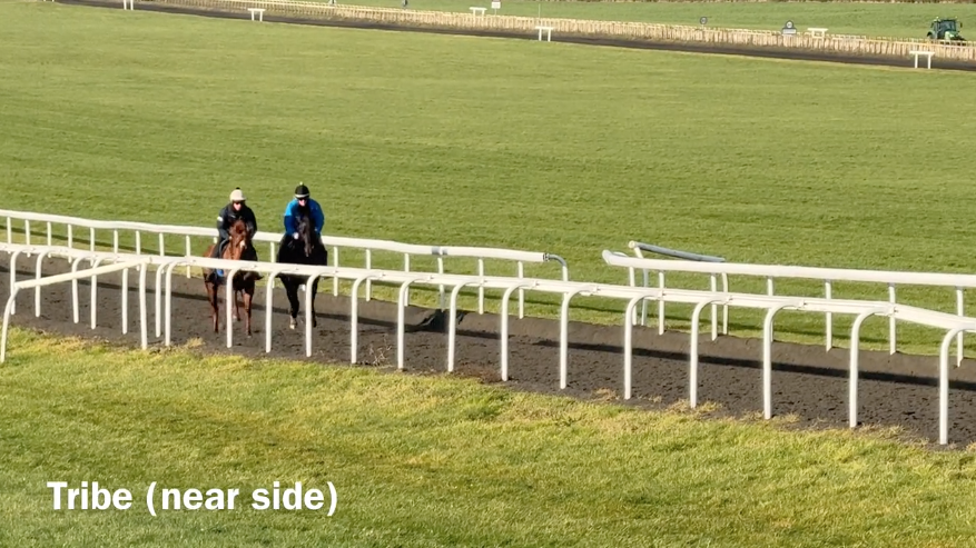 Full training begins 14.01.26