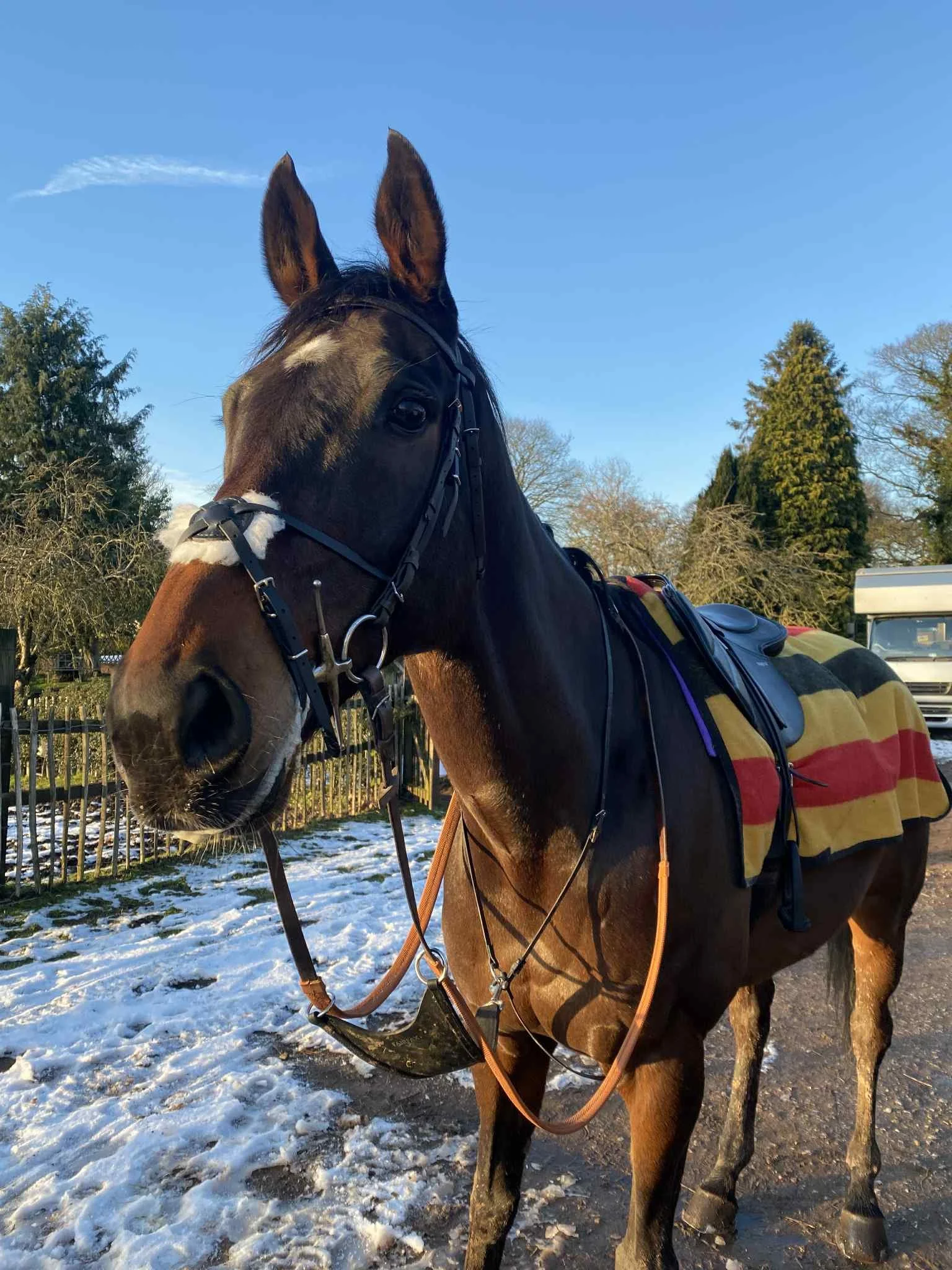 2. Blairgowrie new home Verity 20.01.26.jpg