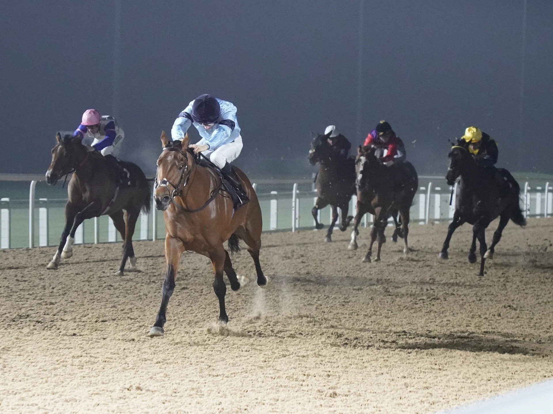  Highclere owner Experience