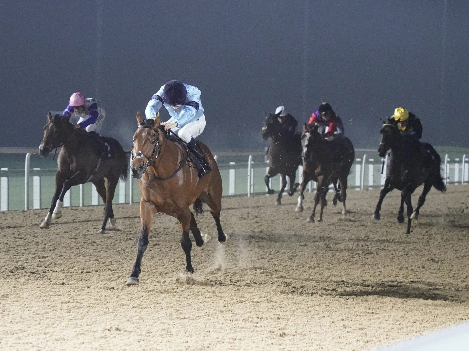 Knowledge winning at Southwell 17.1.26