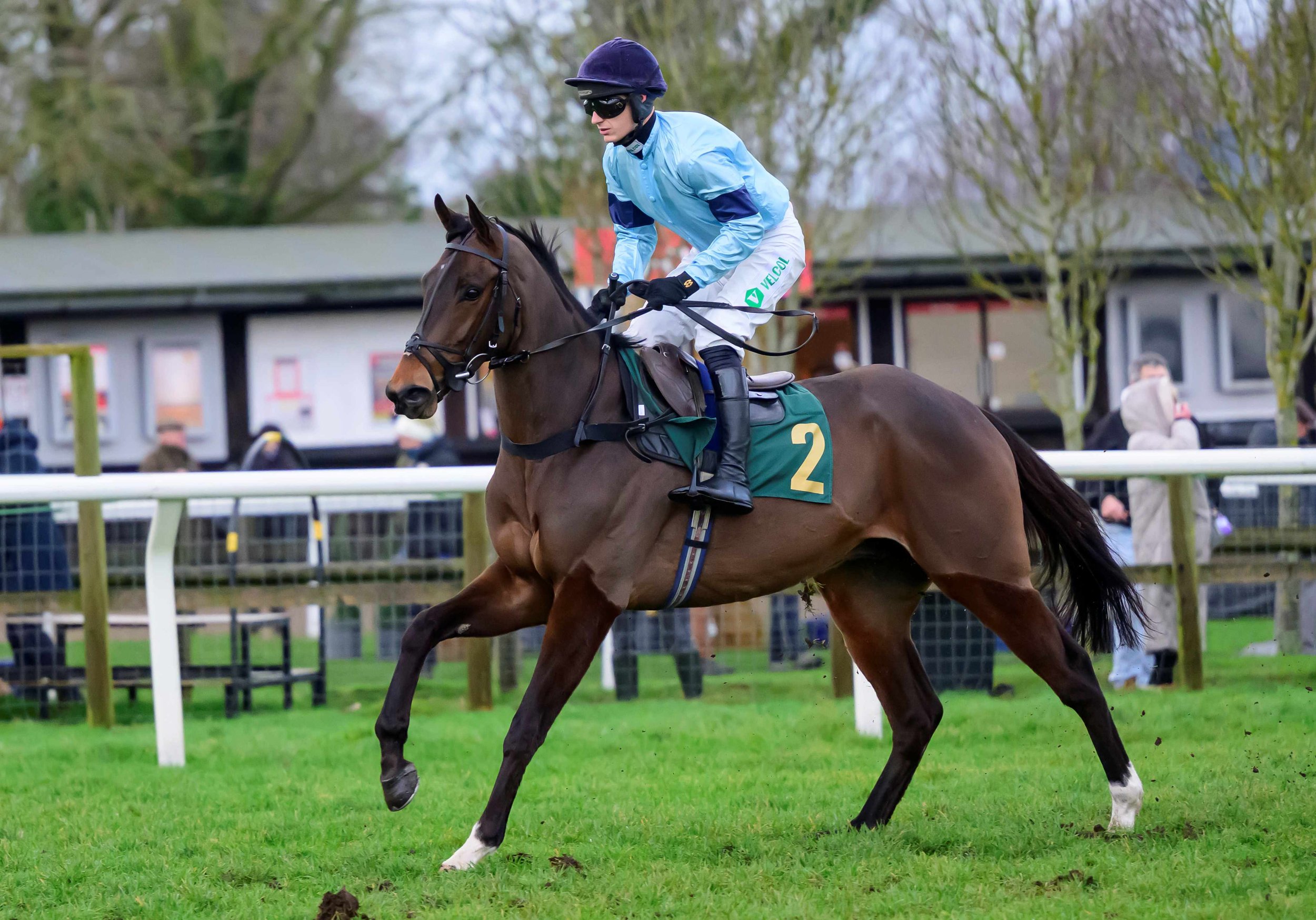 Cooltobecareless canters to Post