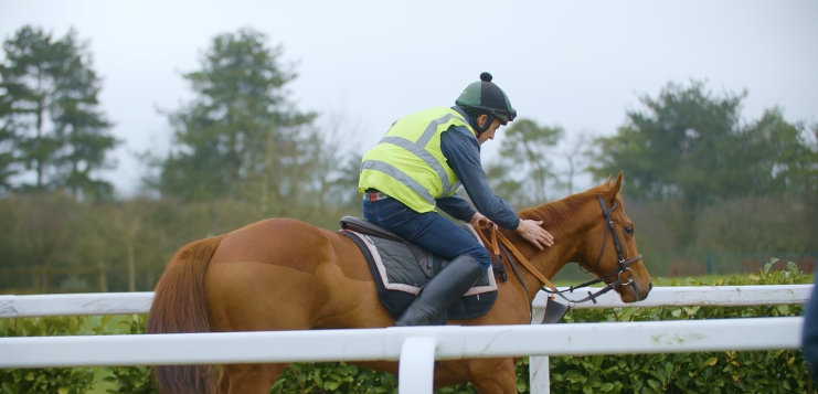 Mimic 2yo progress 25.02.26