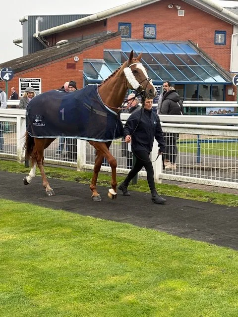 Followcato looking confident in the paddock at Leicester