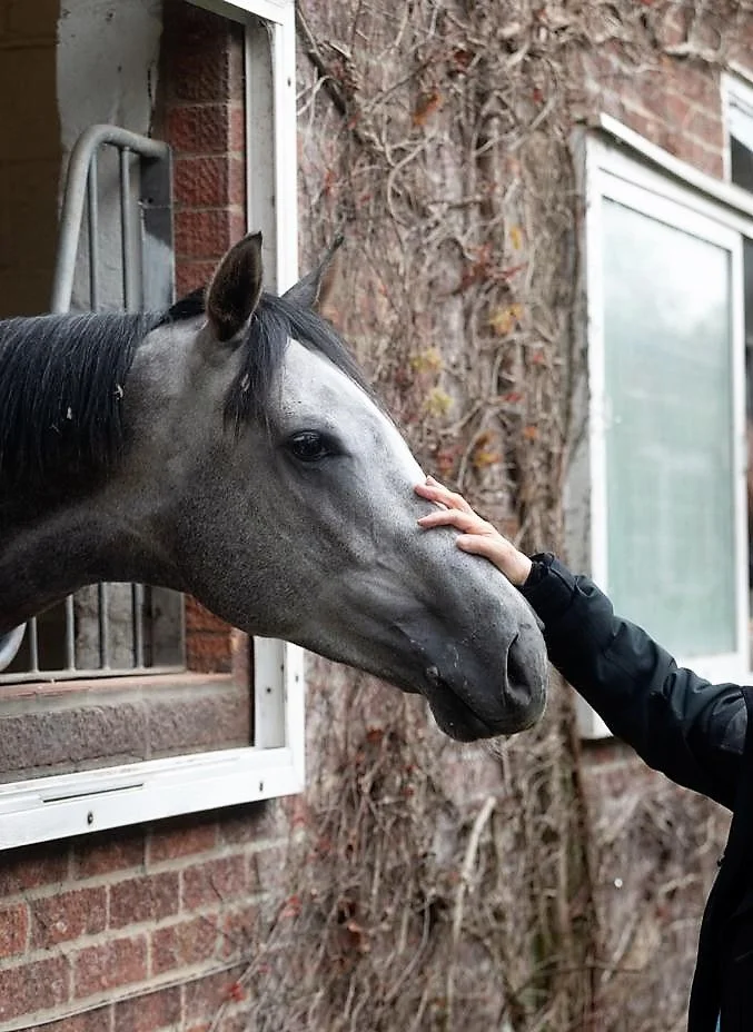 Reflex 05.4.22 head shot.jpg