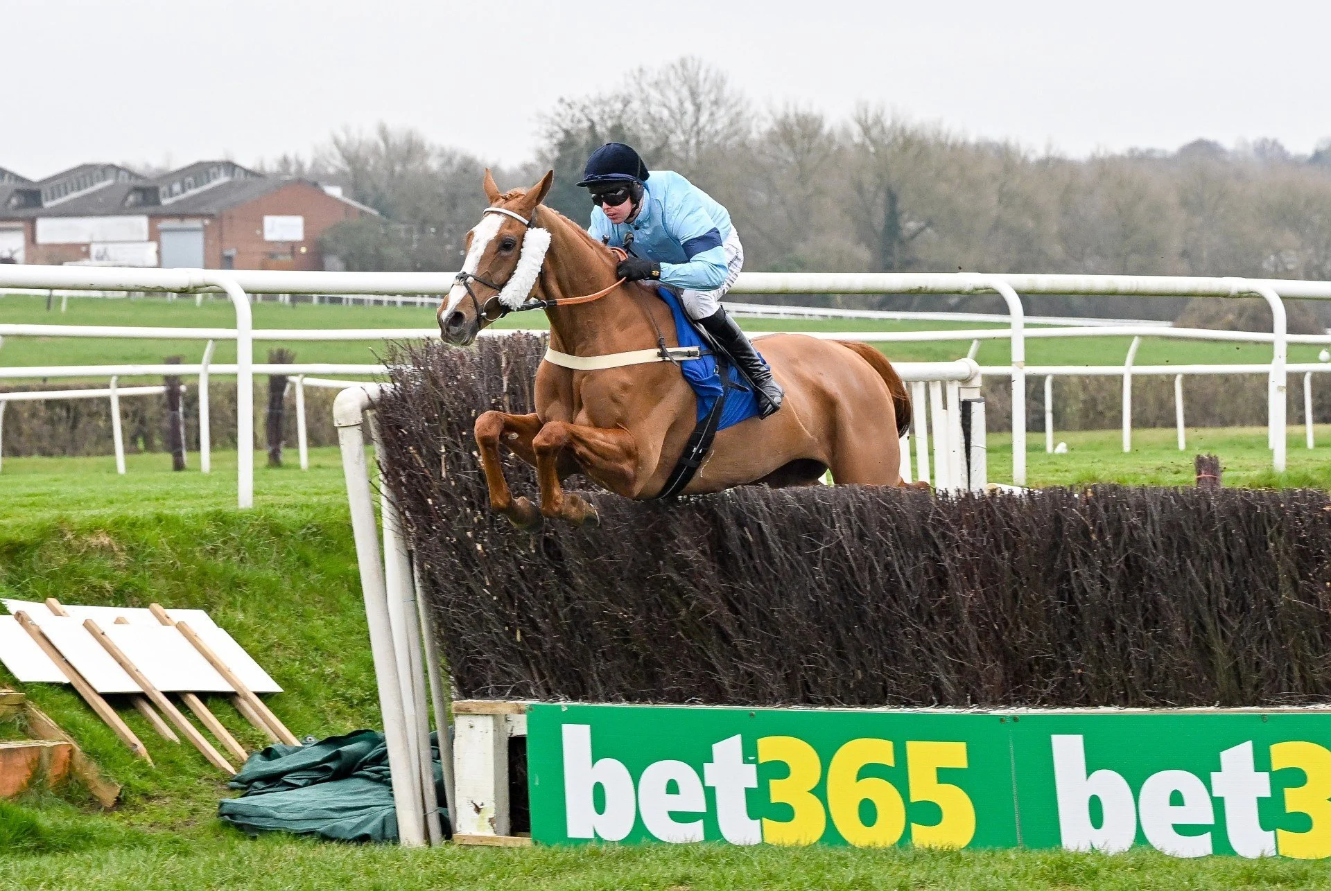 Followcato flies home to make it 4 on the bounce at Leicester (March 2026)