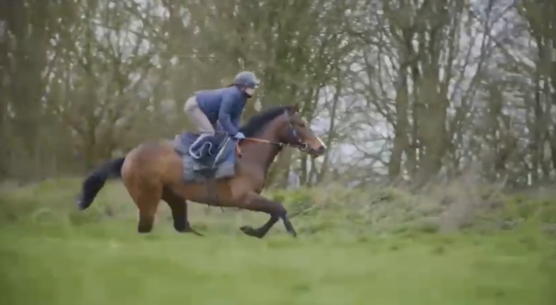Debussy syndicate - Topaz stands out in training