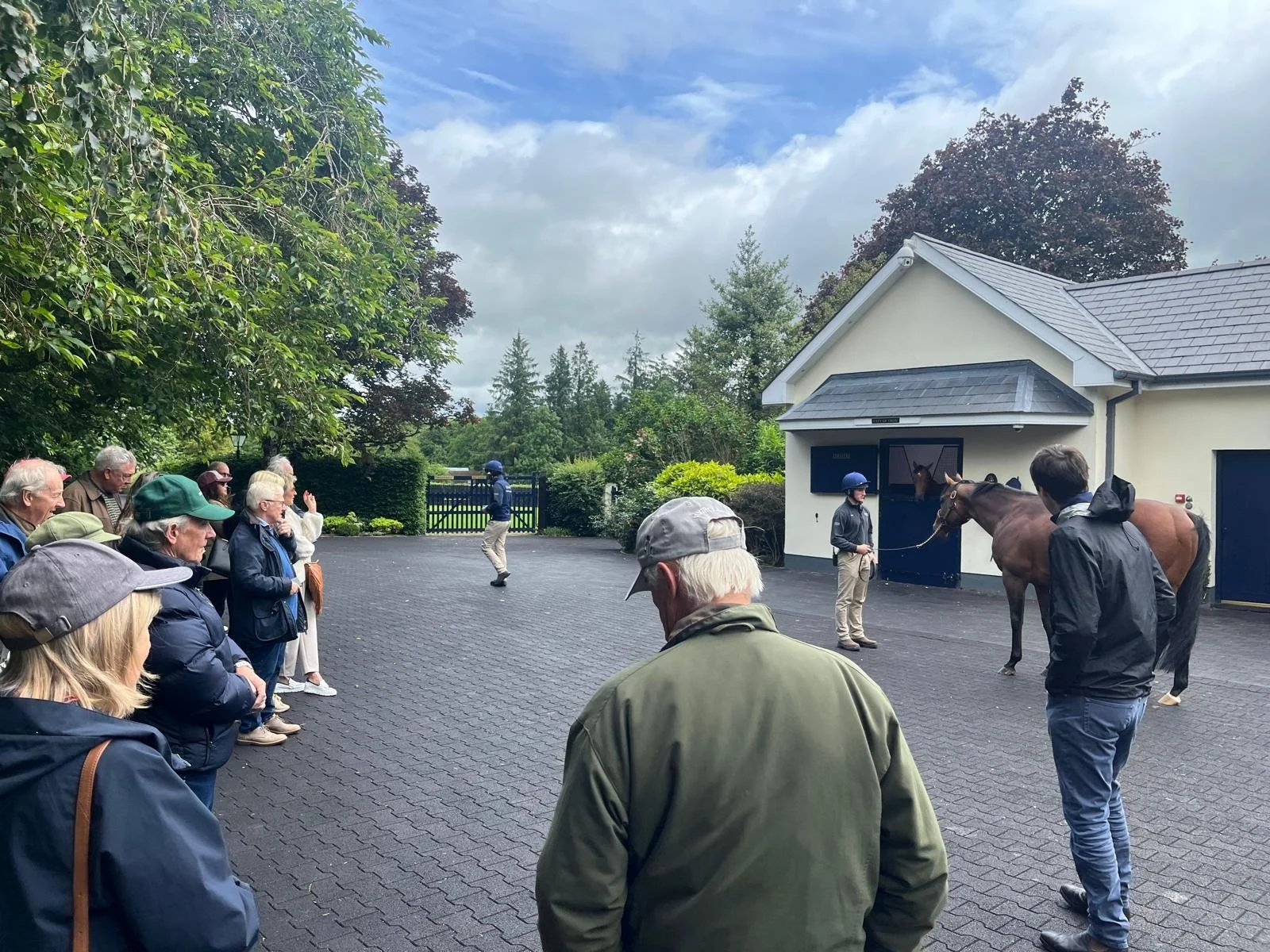 Looking on during the stallion parade at Coolmore earlier this month