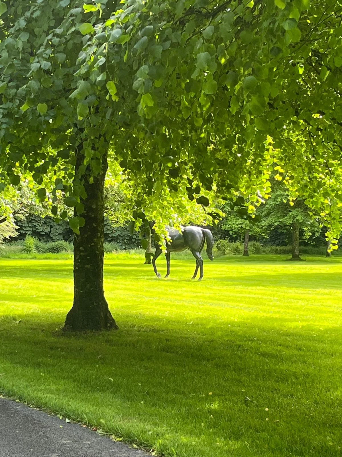 Stunning grounds at Coolmore