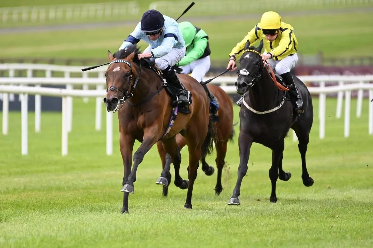 Believing storming home in the G2 Sapphire Stakes 2024