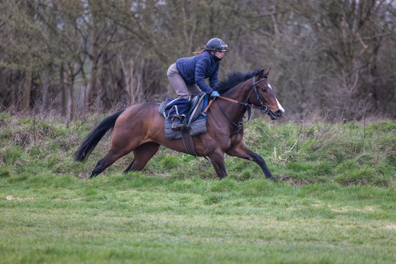 Topaz striding out on the gallops