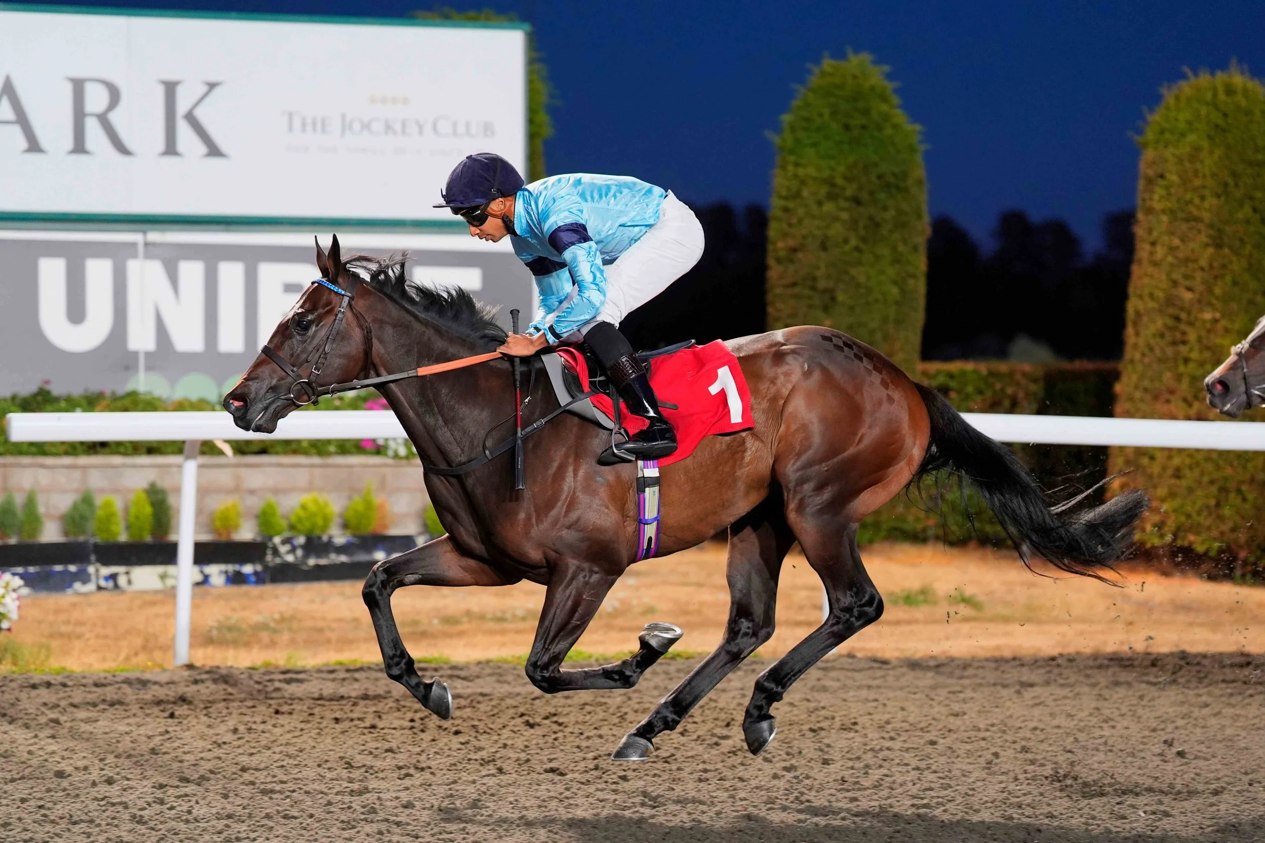 Cavolo Nero winning at Kempton