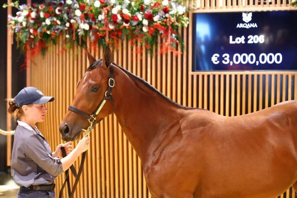 THE BEGINNING OF THE YEARLING SALES