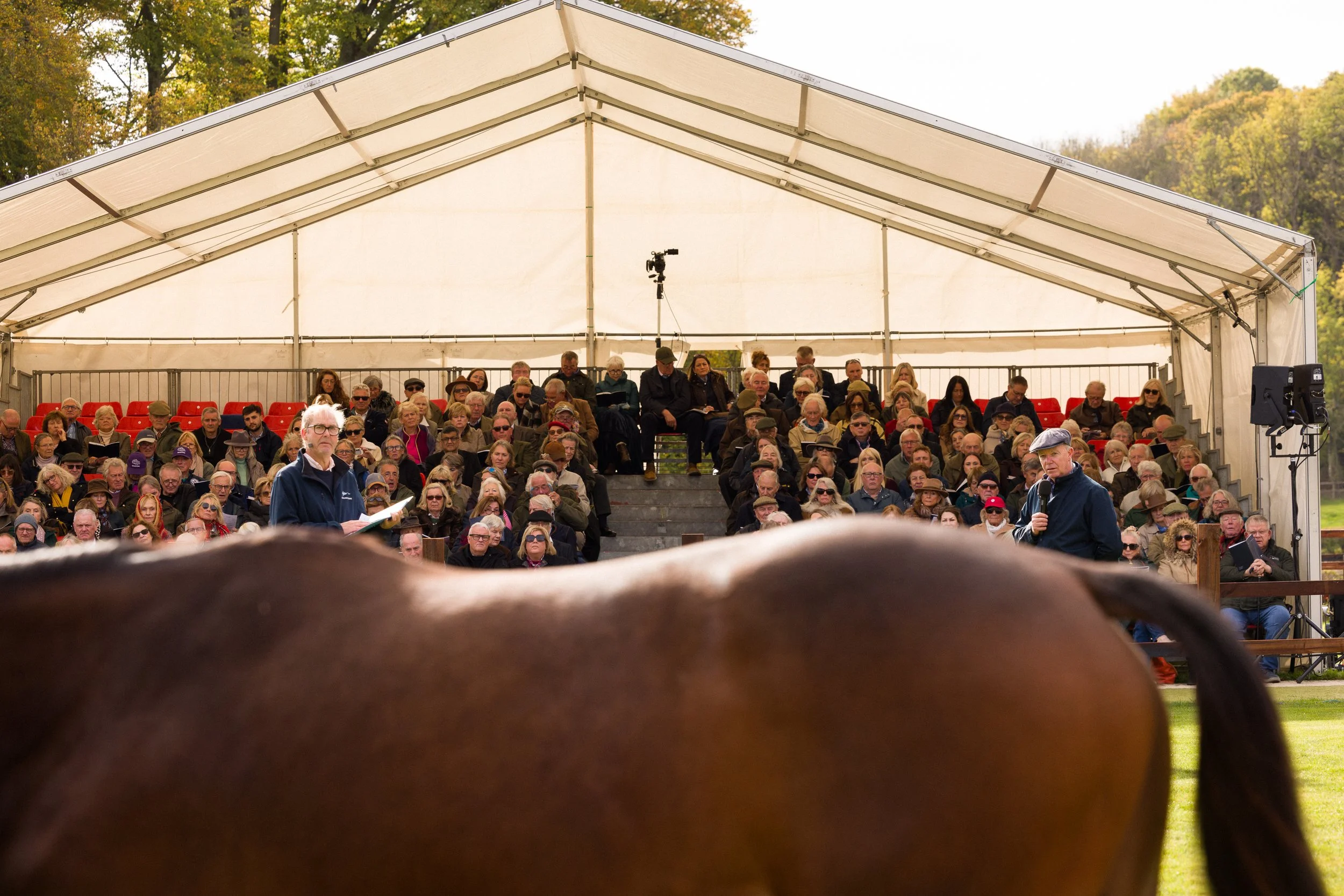 Yearling_Parade_Dan_Stevens_photo-261018-362.jpg