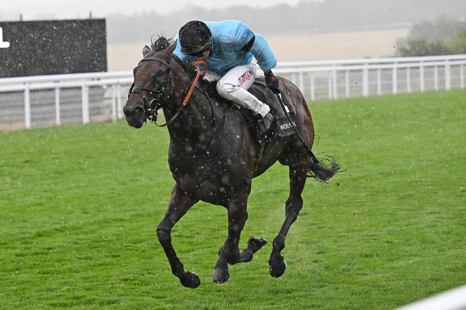 Hunter Merchant Racing ON THE TRACK — Highclere Thoroughbred Racing