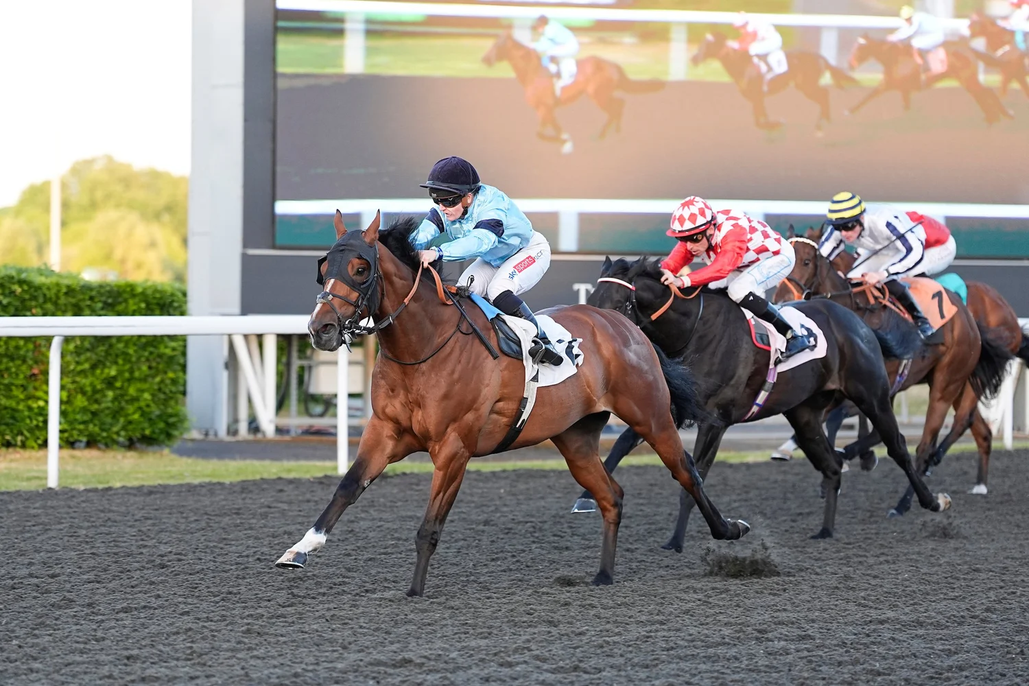 On The Track May 2025 — Highclere Thoroughbred Racing