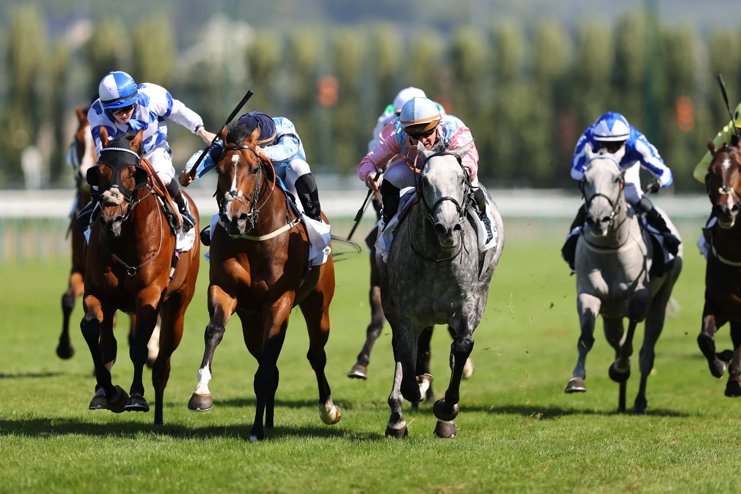 Highclere Thoroughbred Racing - Spycatcher — Highclere Thoroughbred Racing