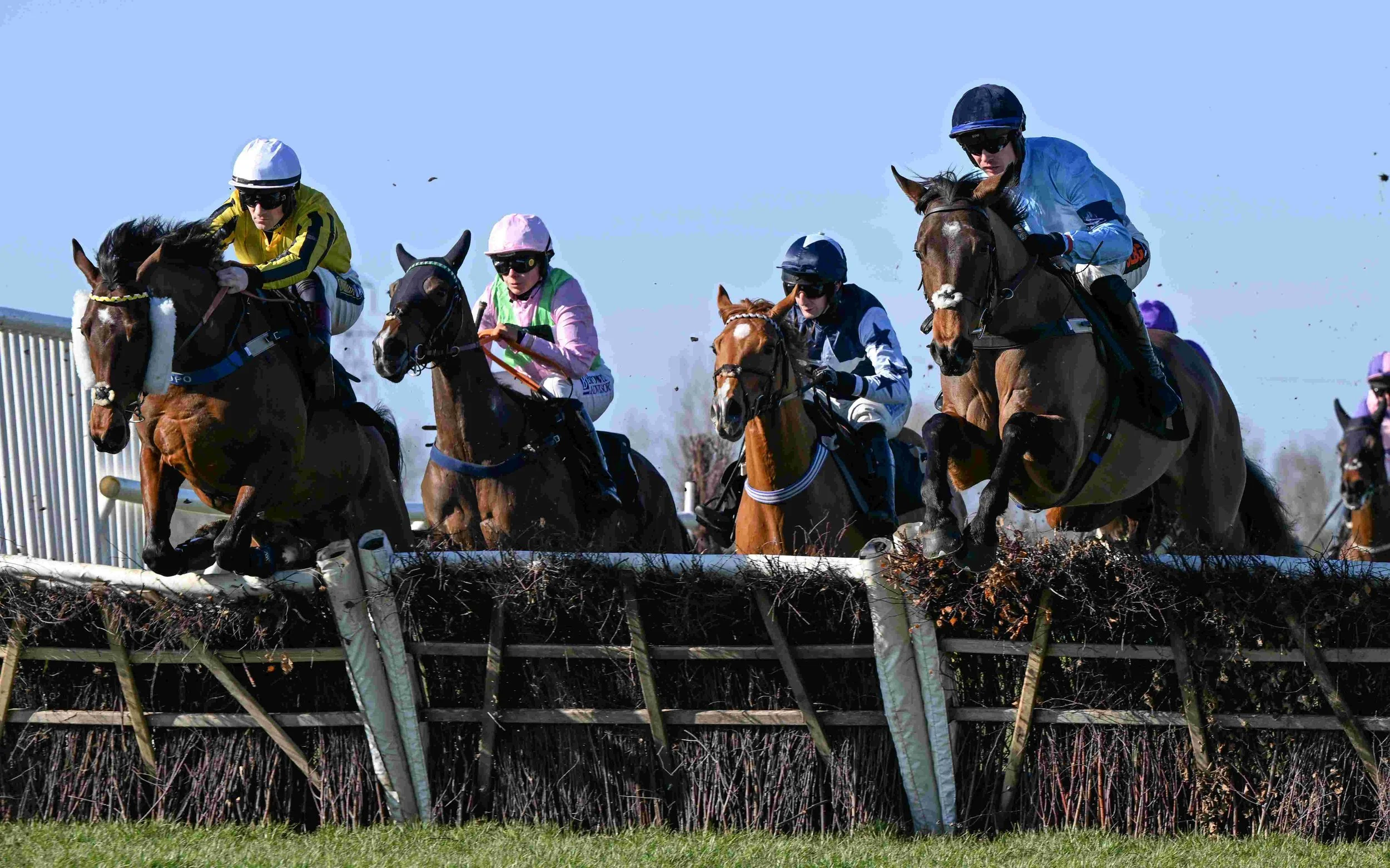 FEBRUARY 2025 — Highclere Thoroughbred Racing