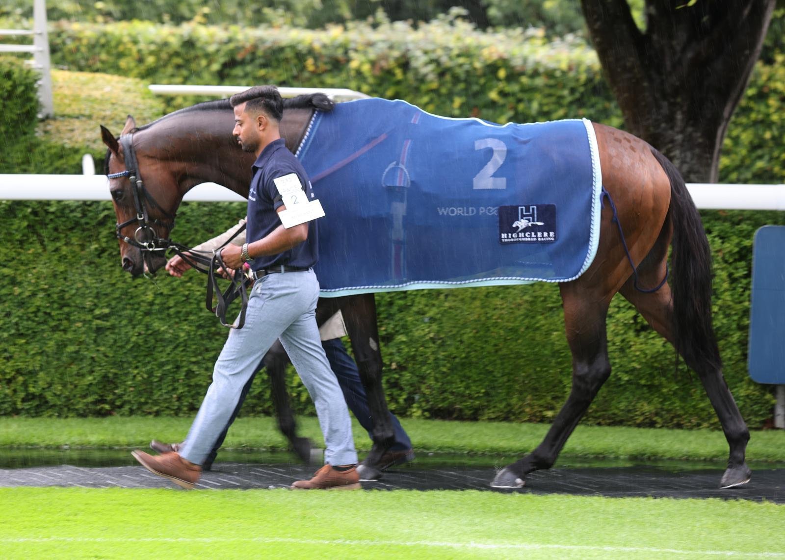 Hunter Merchant Racing Owner experience — Highclere Thoroughbred Racing