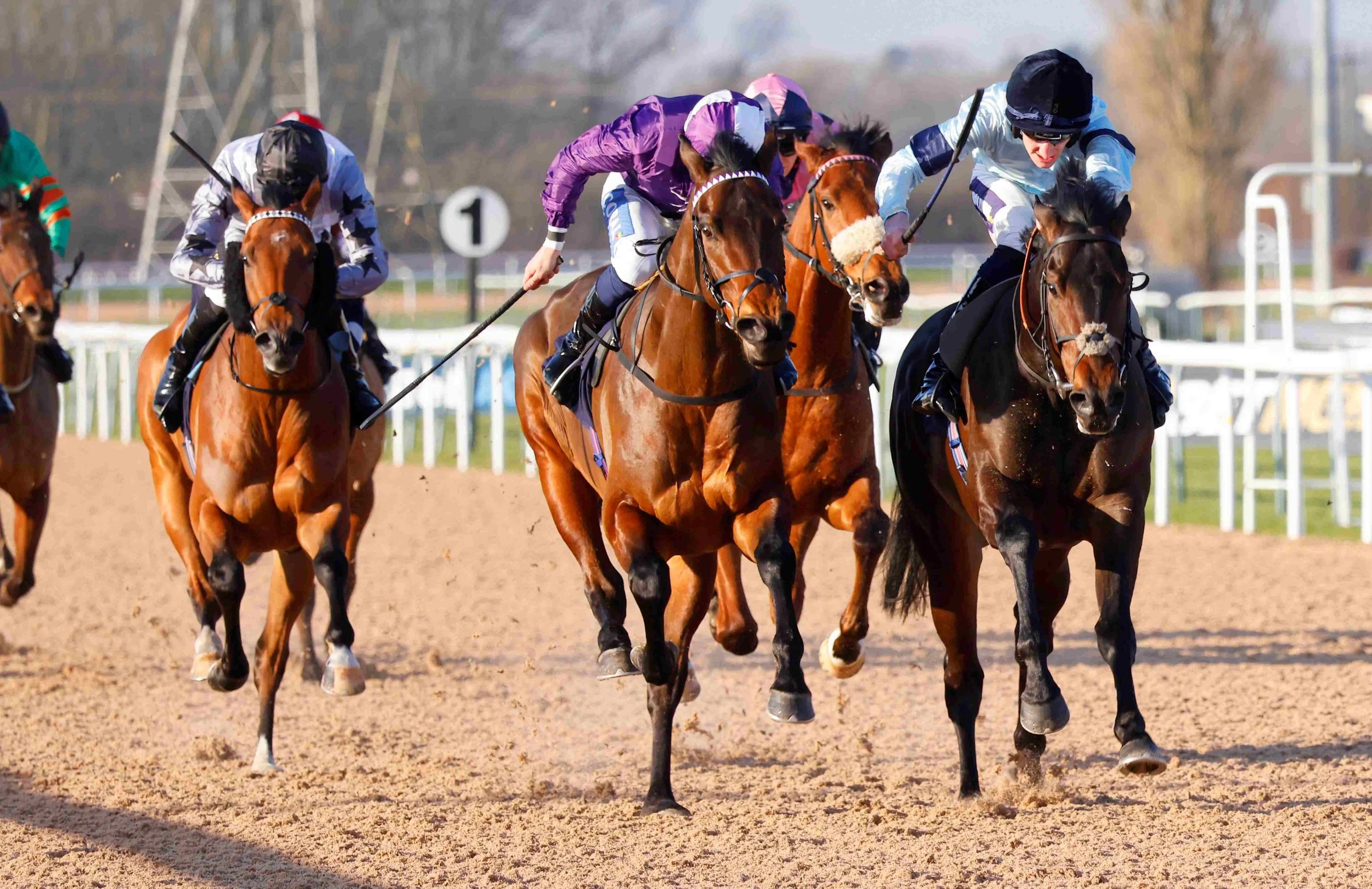 JANUARY 2025 — Highclere Thoroughbred Racing