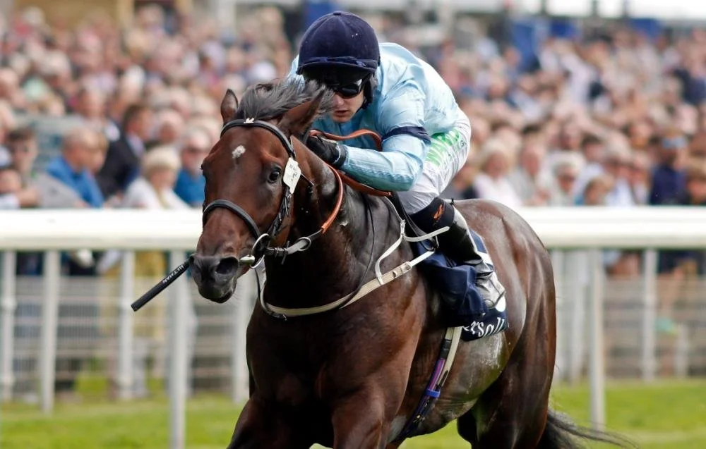 Yorkshire Times — Highclere Thoroughbred Racing