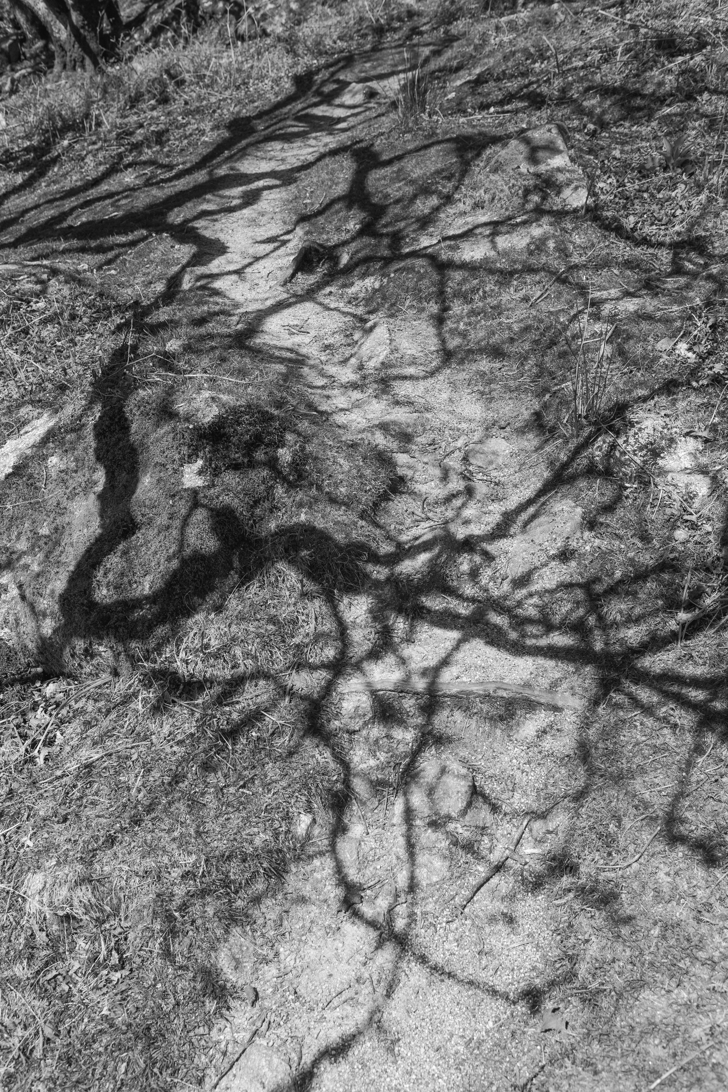  Louise Roberts-Dartmoor-Dewerstone-Rock-Fine Art-Photography-B&W-294A7022.jpg