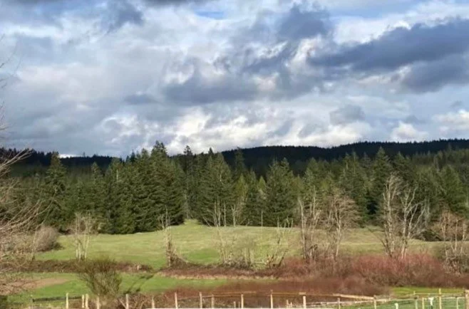 Retirement &amp; low-key boarding at our Beavercreek location is available! 🌲

All disciplines and types welcome 💙

Daily grass turnout, daily stall cleaning, quality hay, shavings provided. 

Experienced staff treat your horses as their own with a