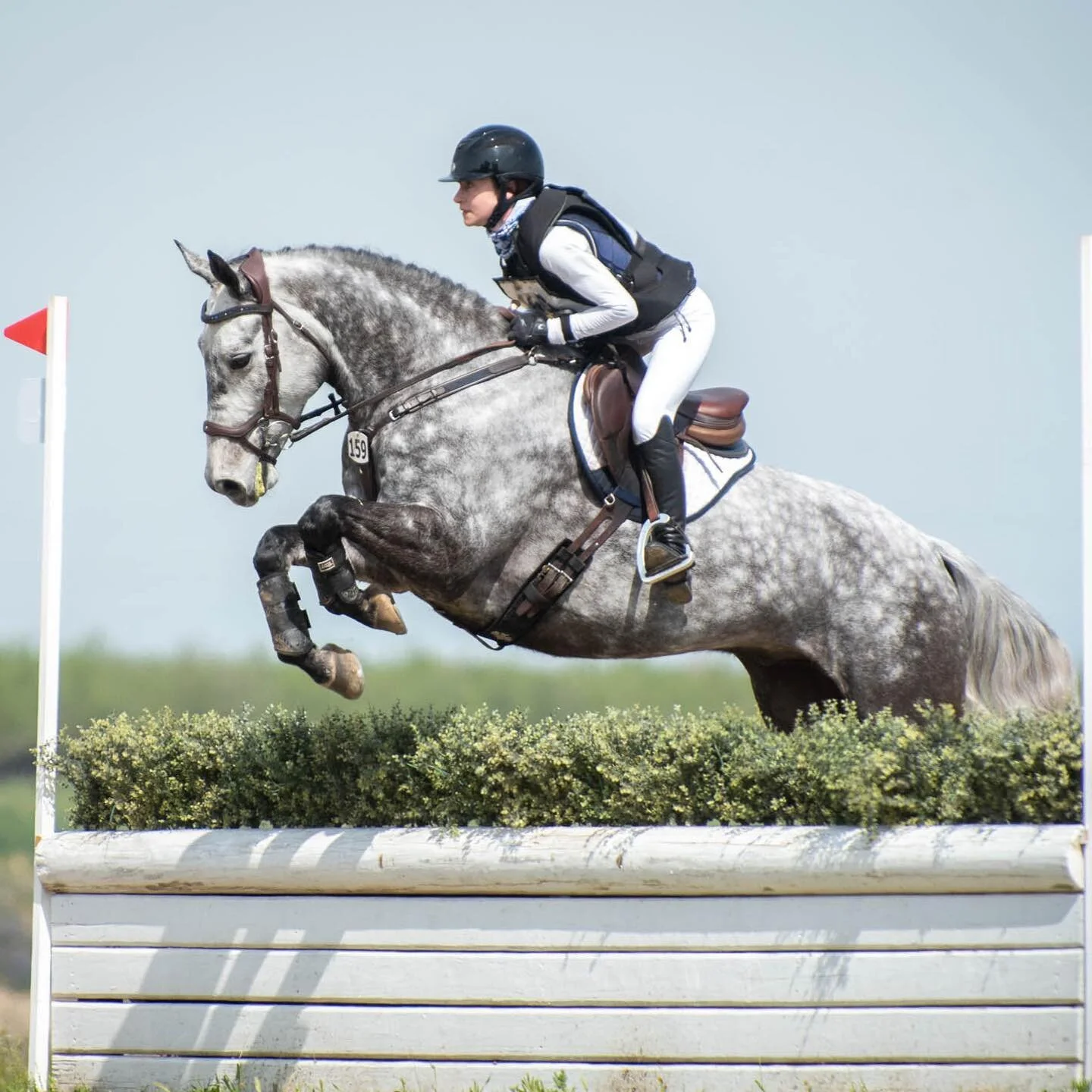 Johnny&rsquo;s Sparrow is offered FOR SALE

Johnny is a 15.3hh 2016 Irish TB x Connemara gelding, imported Fall of 2021 from Kilkenny, Ireland. ☘️

Johnny has been produced carefully &amp; correctly in Trinity Eventing&rsquo;s program since he arrive
