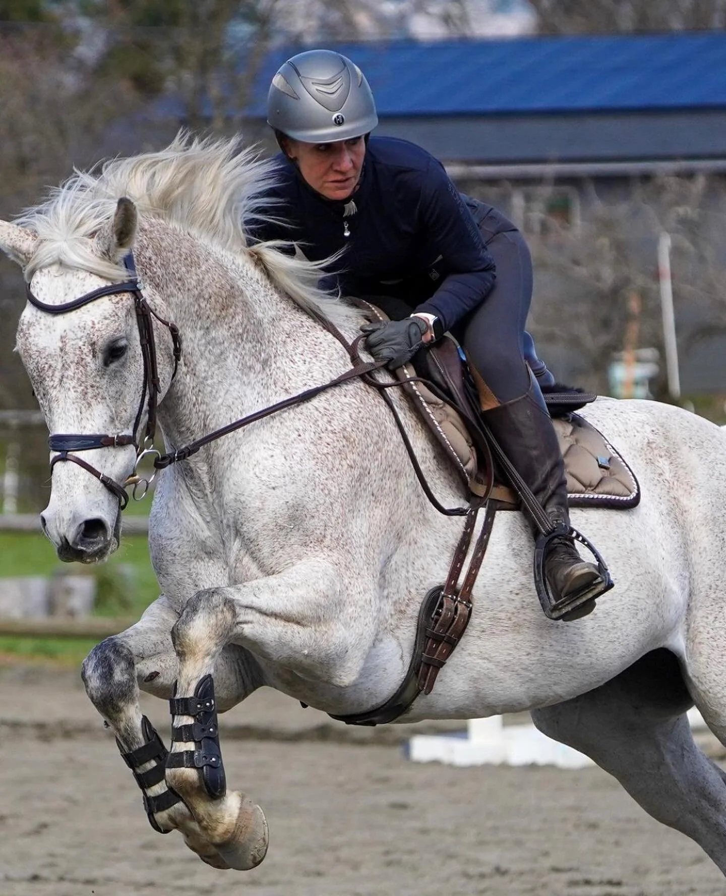 Another great clinic at Hood River Saddle Club 🏔️

@jenniferwootenmacouzet taught groups Friday &amp; Saturday this weekend 🌟

Contact Jennifer for information on traveling to your facility to teach clinics!
805 588 7600

📸 @hoodriverrides 

#trin