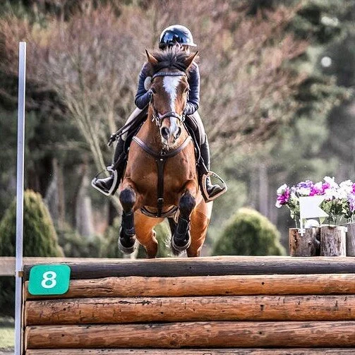 Team Trinity is headed to @aspenfarmshorsetrials for the April Derby this Saturday! 🌲

___________________
#trinityeventing #areaviieventing #teamtrinity #eventersofthewest #eventersofinstagram #oregoneventers #antaressellier #customsaddlery #toklat