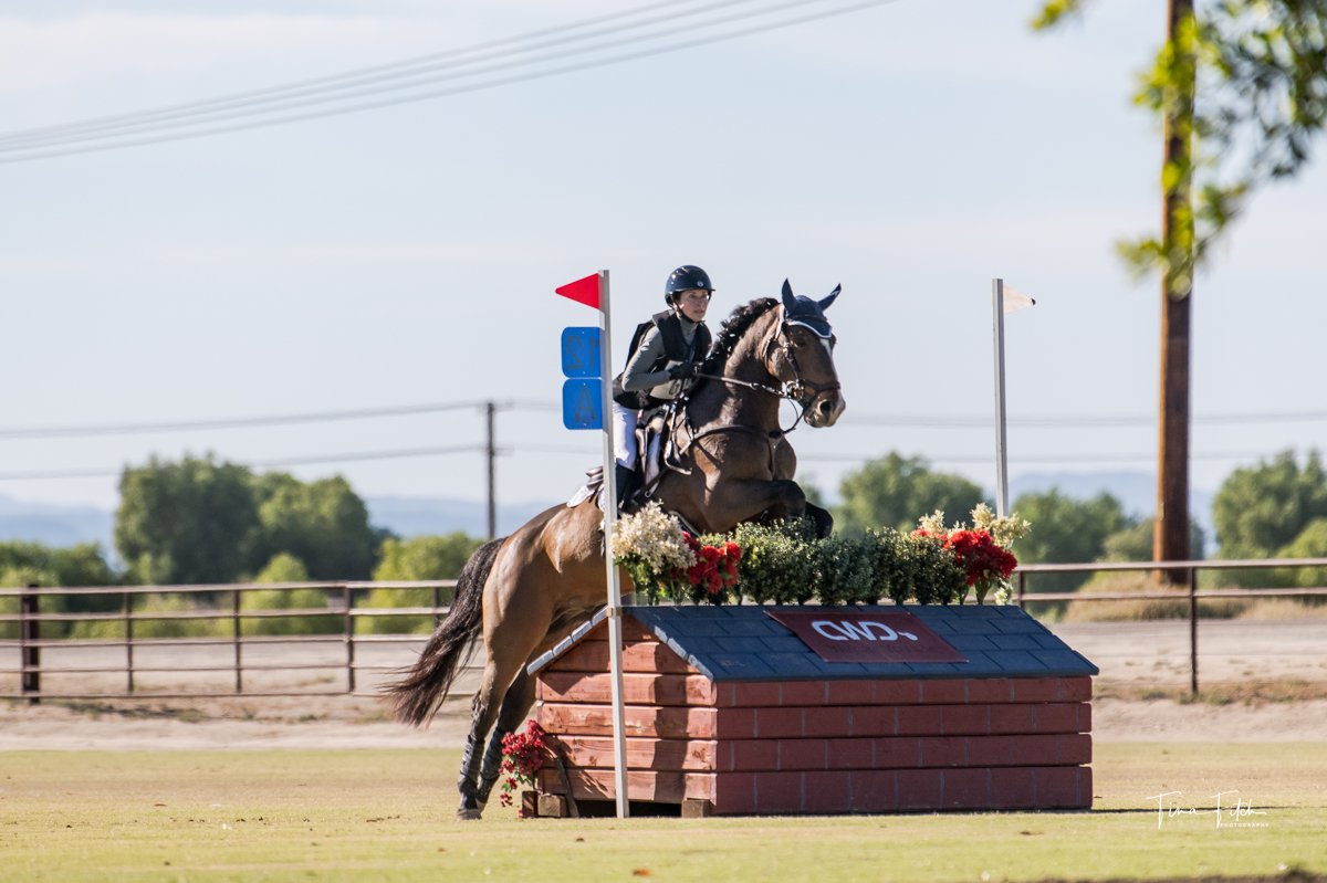 USEA American Eventing Championships
