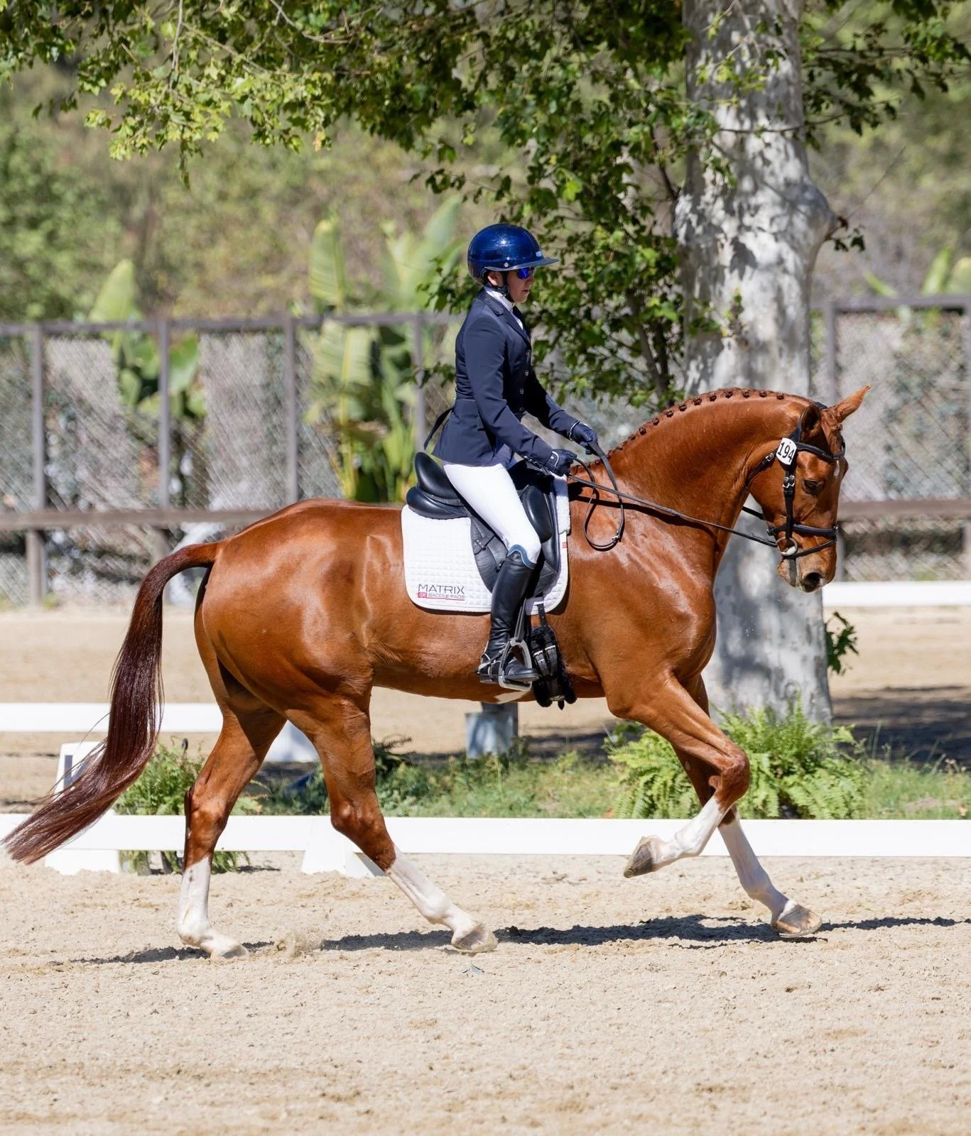 The Eventing Championships at Galway Downs