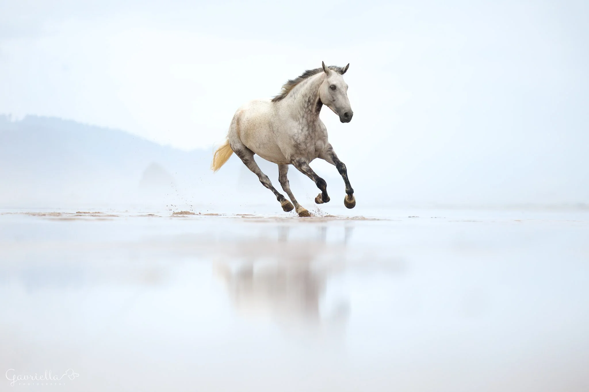 _90A6721-Edit-2.JPEG