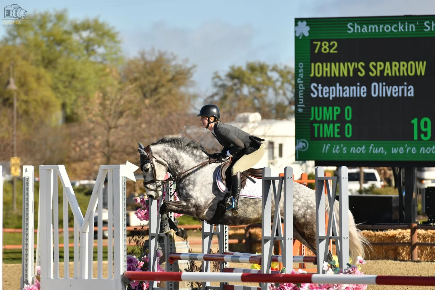 LORESDIGITAL-SHAMROCKIN SHOW-782 JOHNNYS SPARROW-XSR_9175_GrandPix.JPG