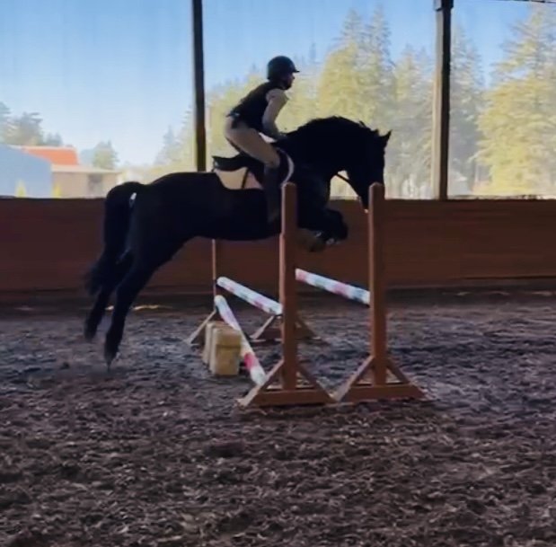 Hawley Bennett-Awad Clinic Hosted By Trinity Eventing