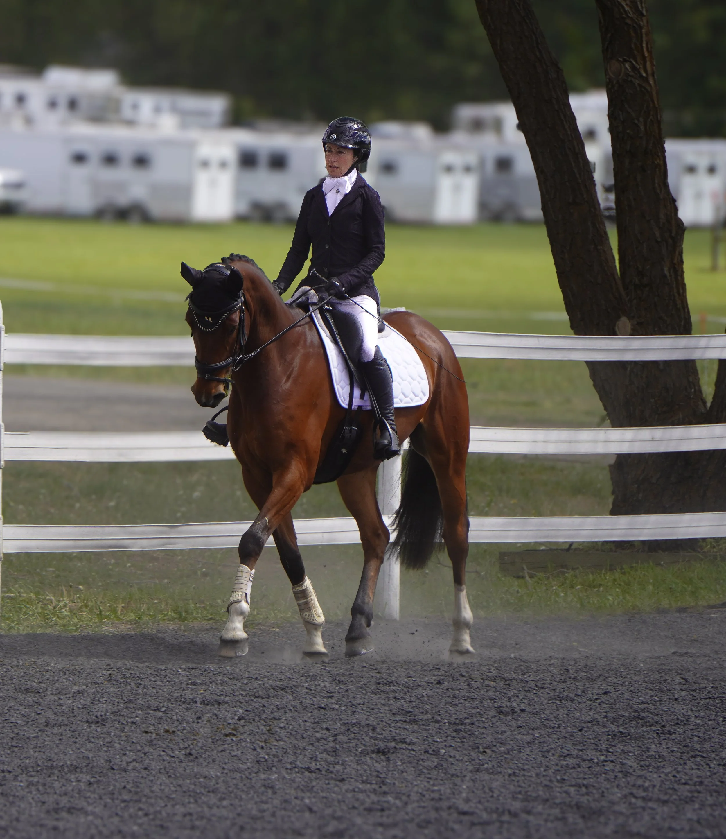 Spokane Sport Horse Spring Horse Trials