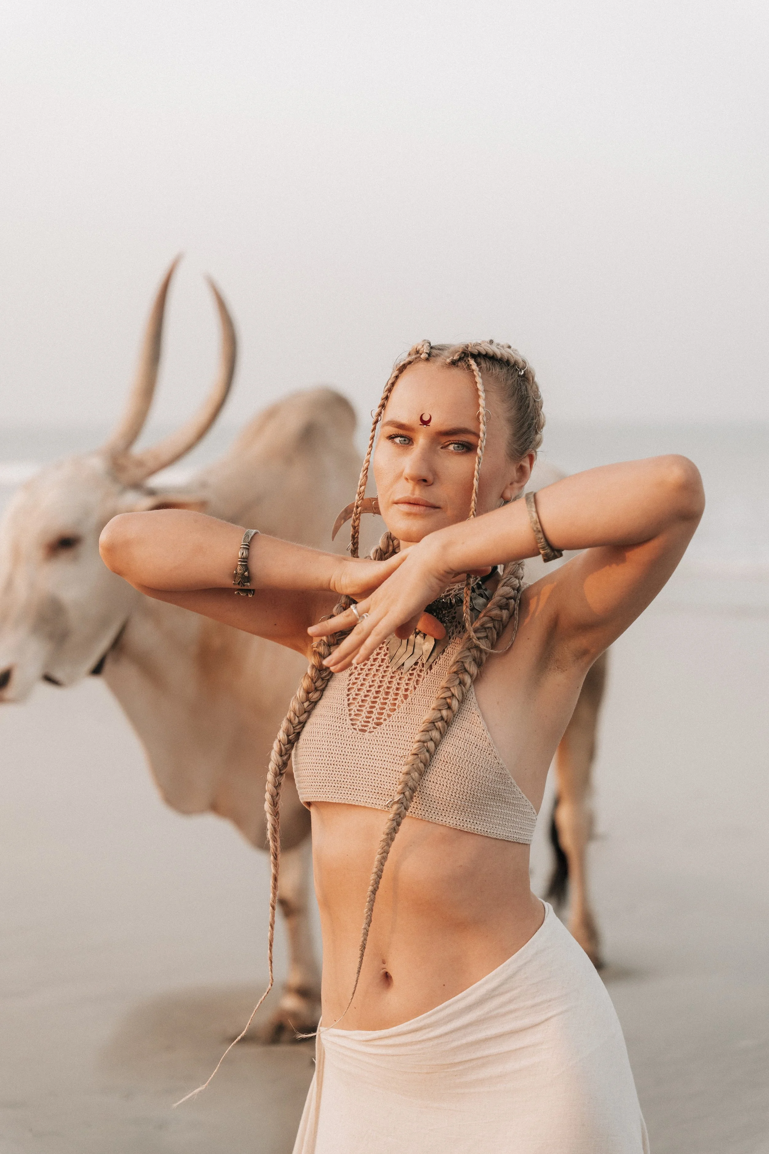 Arambol Beach Bull Shoot 2-7.jpg