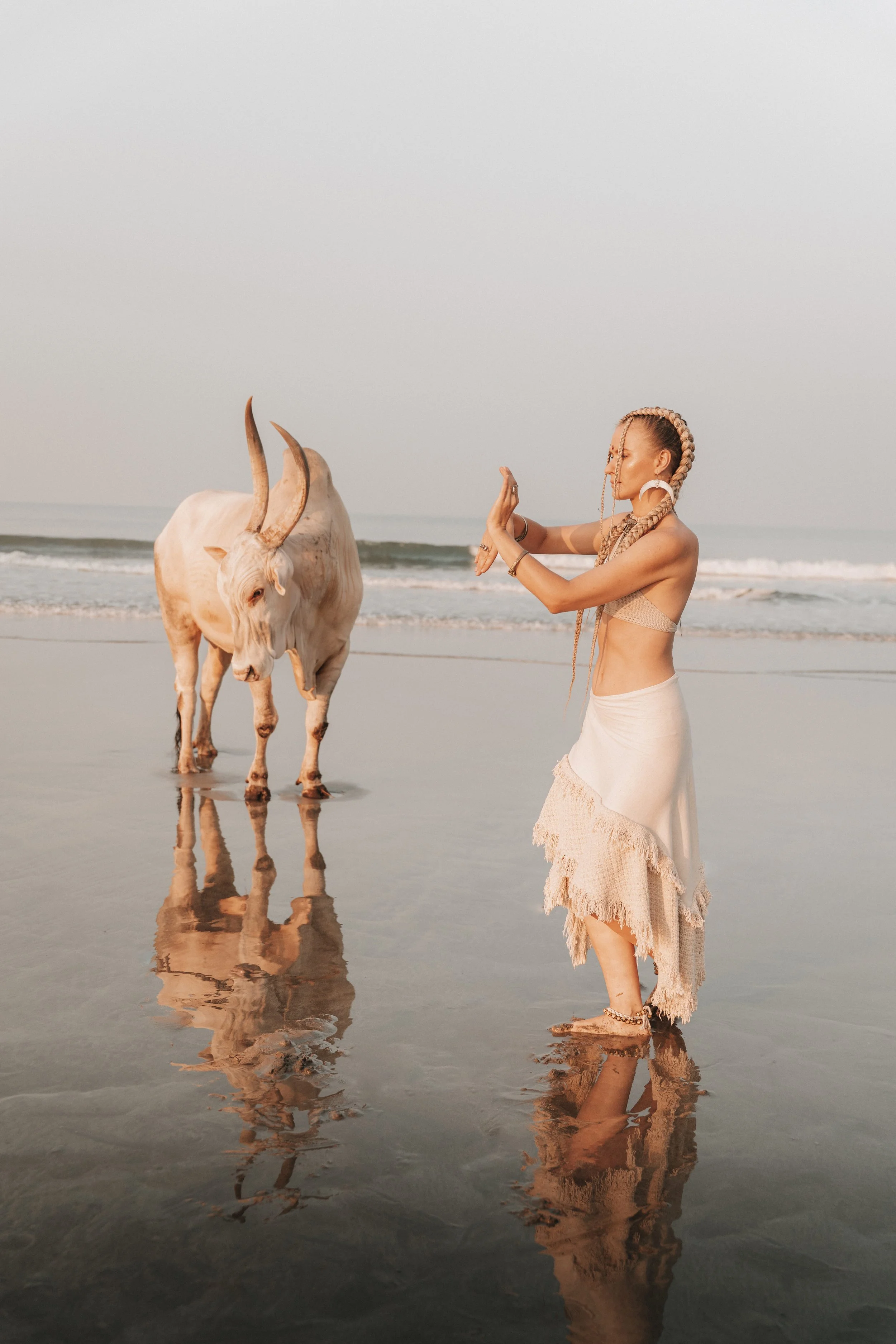 Arambol Beach Bull Shoot 2-21.jpg