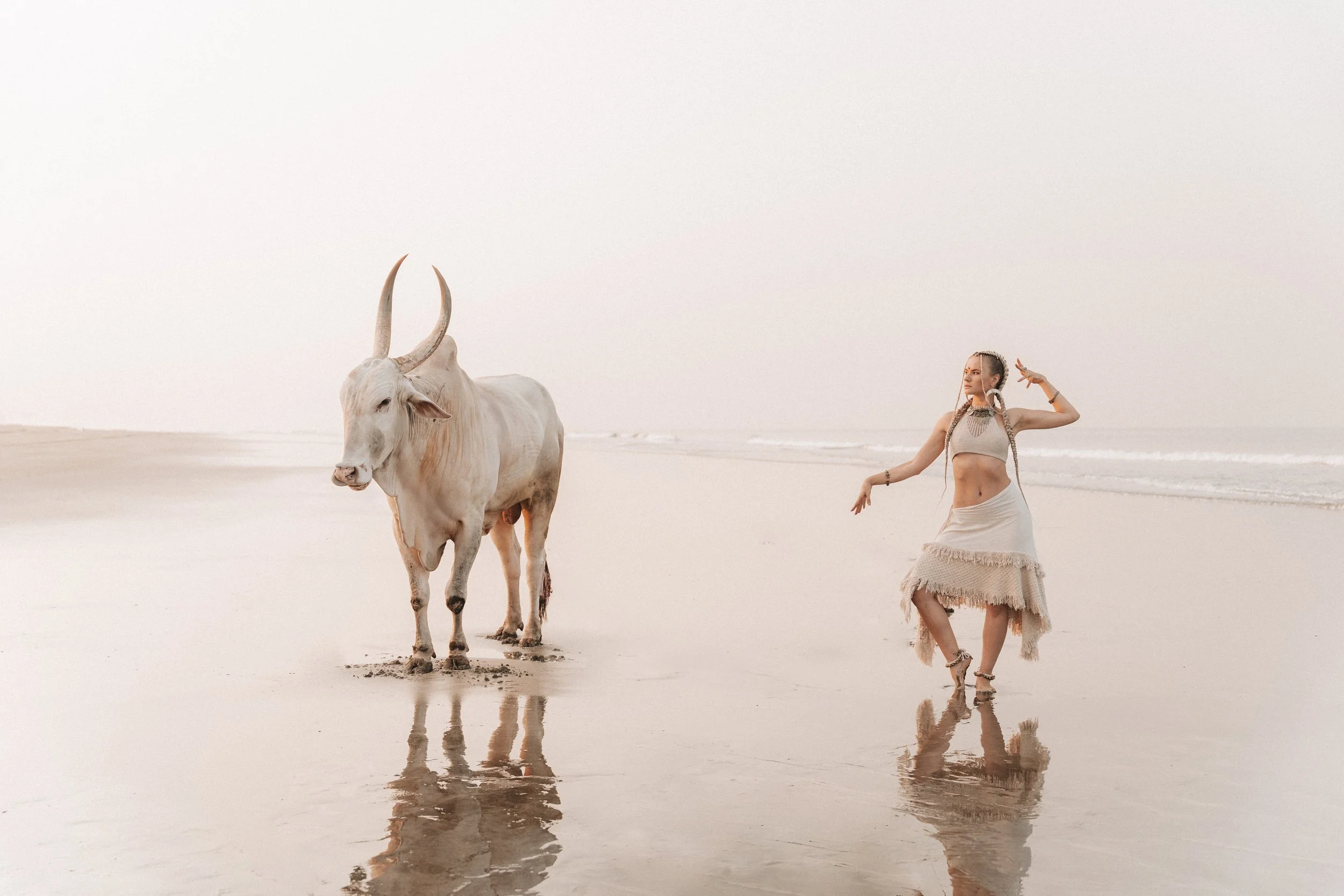 Arambol Beach Bull Shoot 2-15.jpg