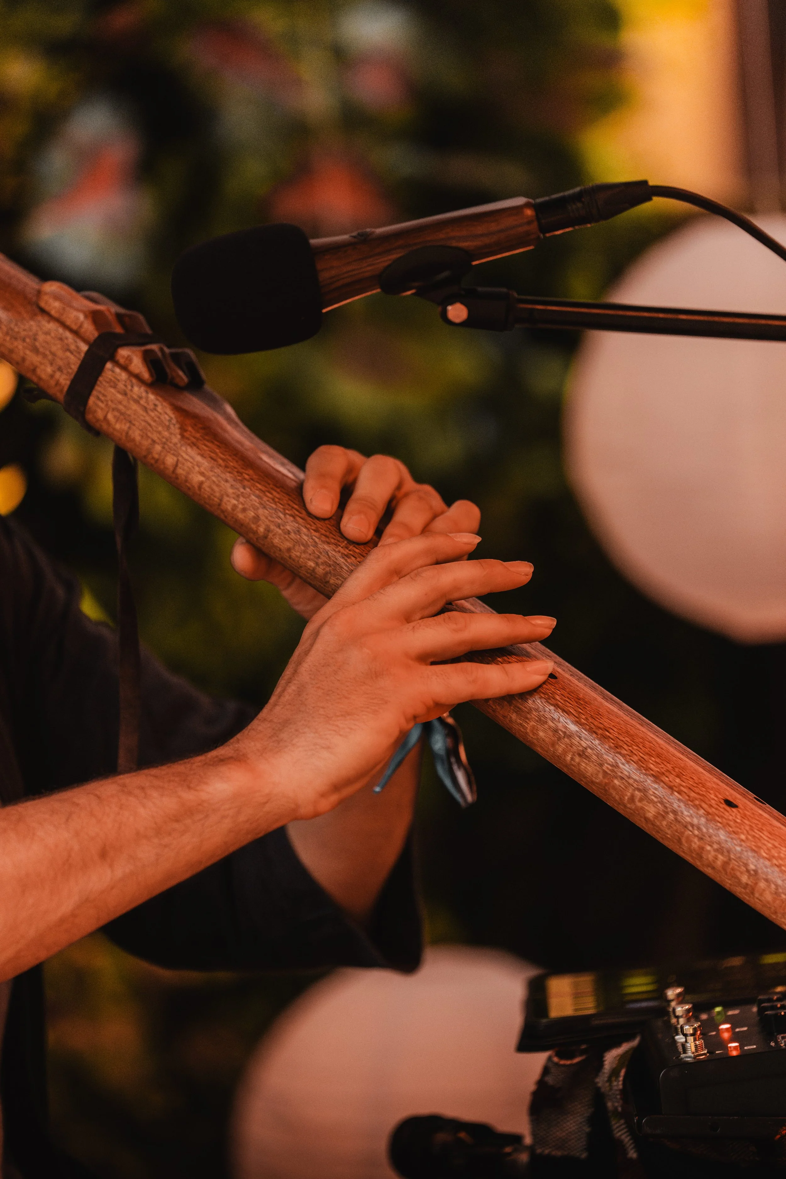 Hanuman Project BSF-1 18.46.11.jpg