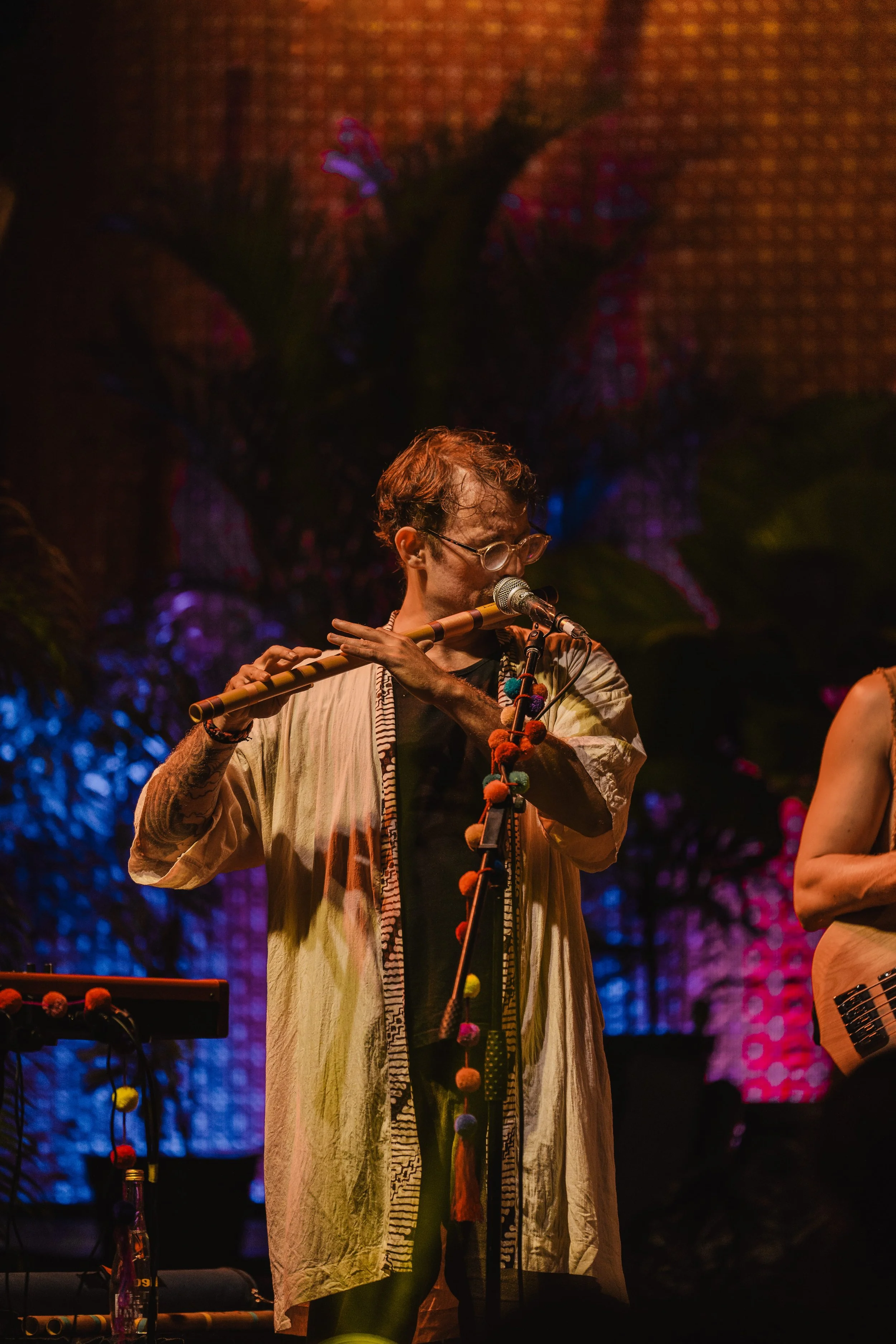 Hanuman Project BSF-6.jpg