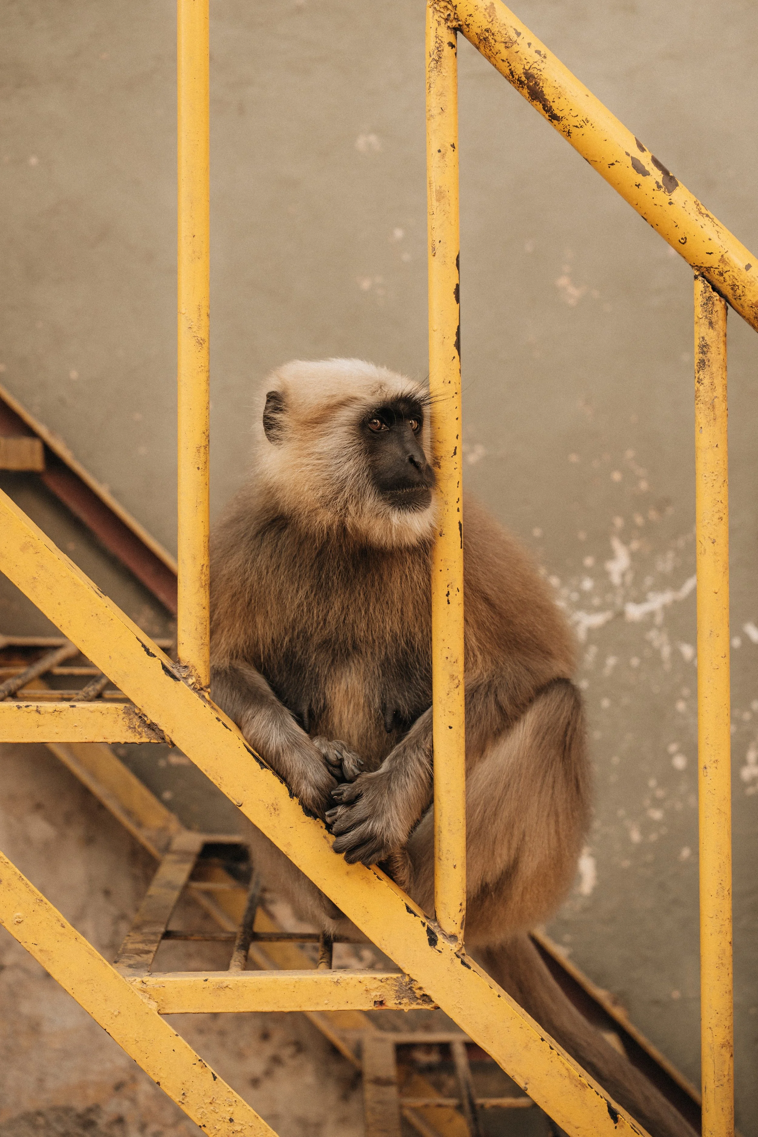 Tapovan Streets - People-36.jpg