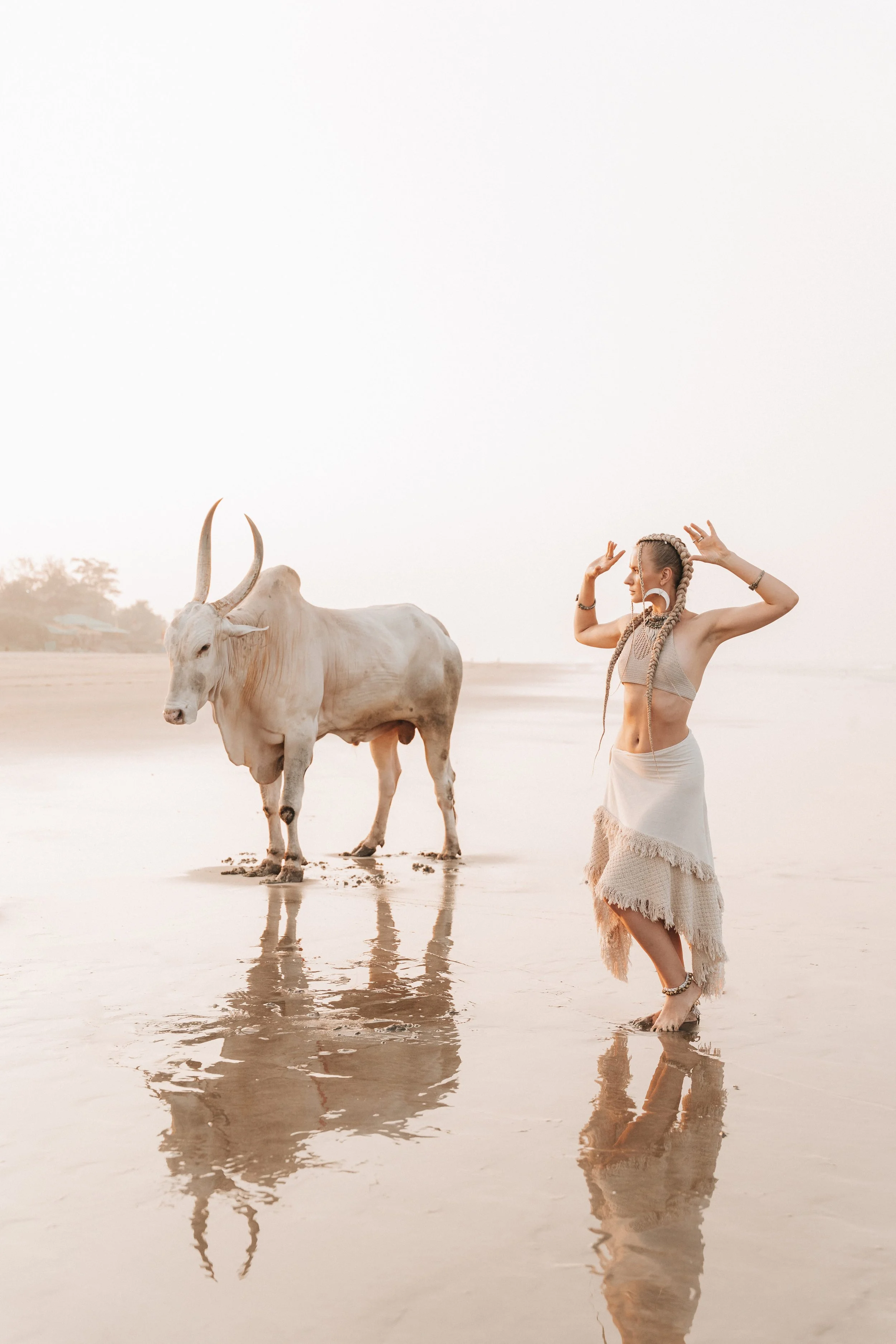 Arambol Beach Bull Shoot 2-17.jpg